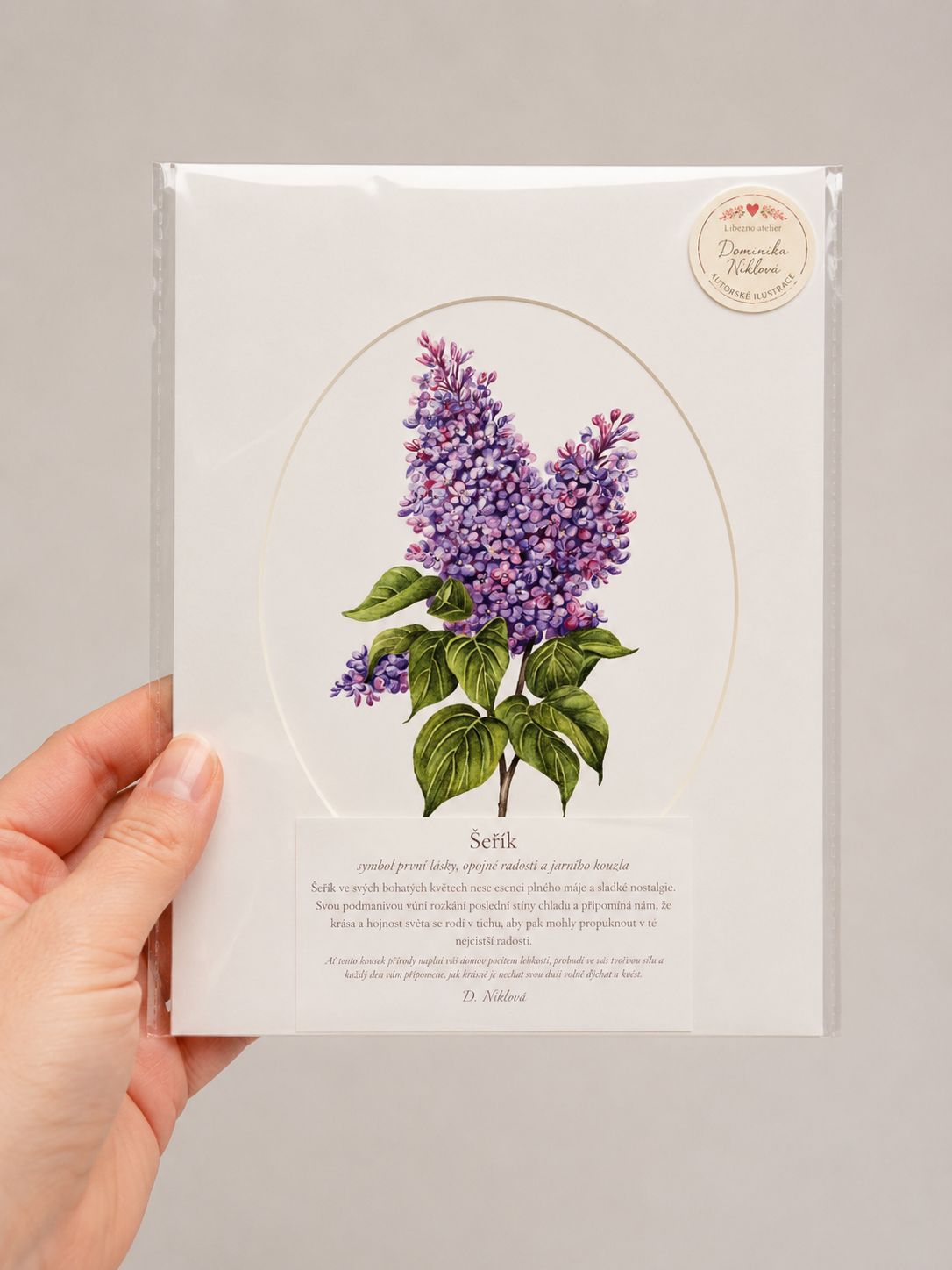Šeřík - autorská akvarelová ilustrace s paspartou | art print