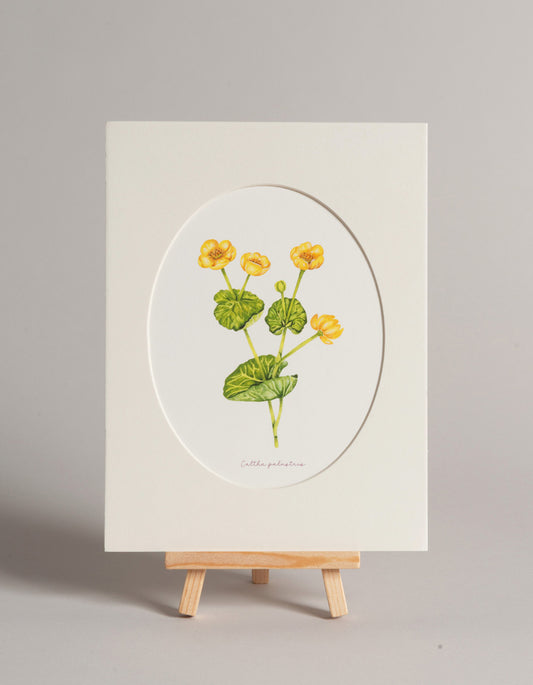 Blatouch - autorská akvarelová ilustrace s paspartou | art print