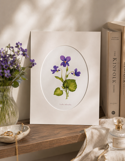 Fialka - autorská akvarelová ilustrace s paspartou | art print