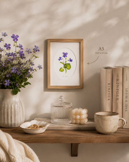 Fialka - autorská akvarelová ilustrace s paspartou | art print