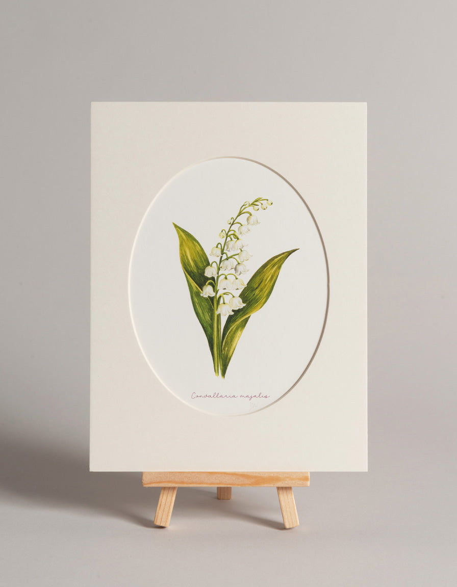 Konvalinka - autorská akvarelová ilustrace v paspartě | art print