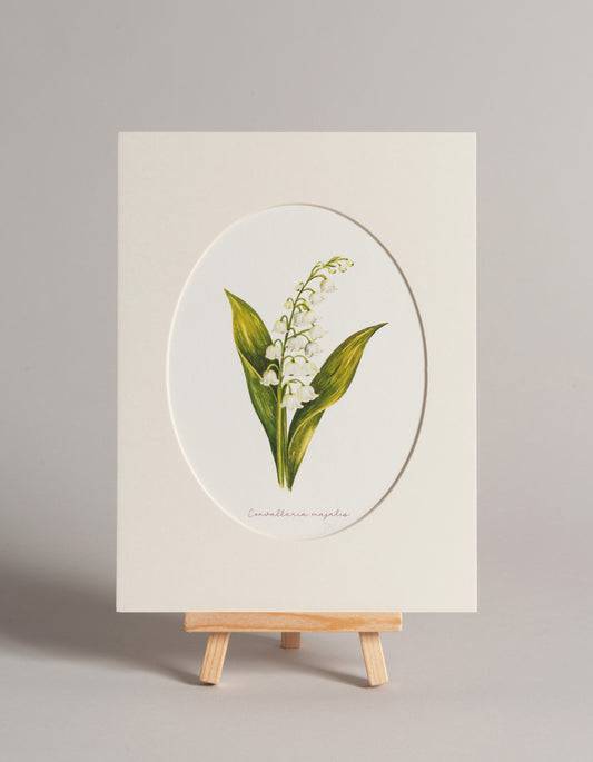 Konvalinka - autorská akvarelová ilustrace v paspartě | art print