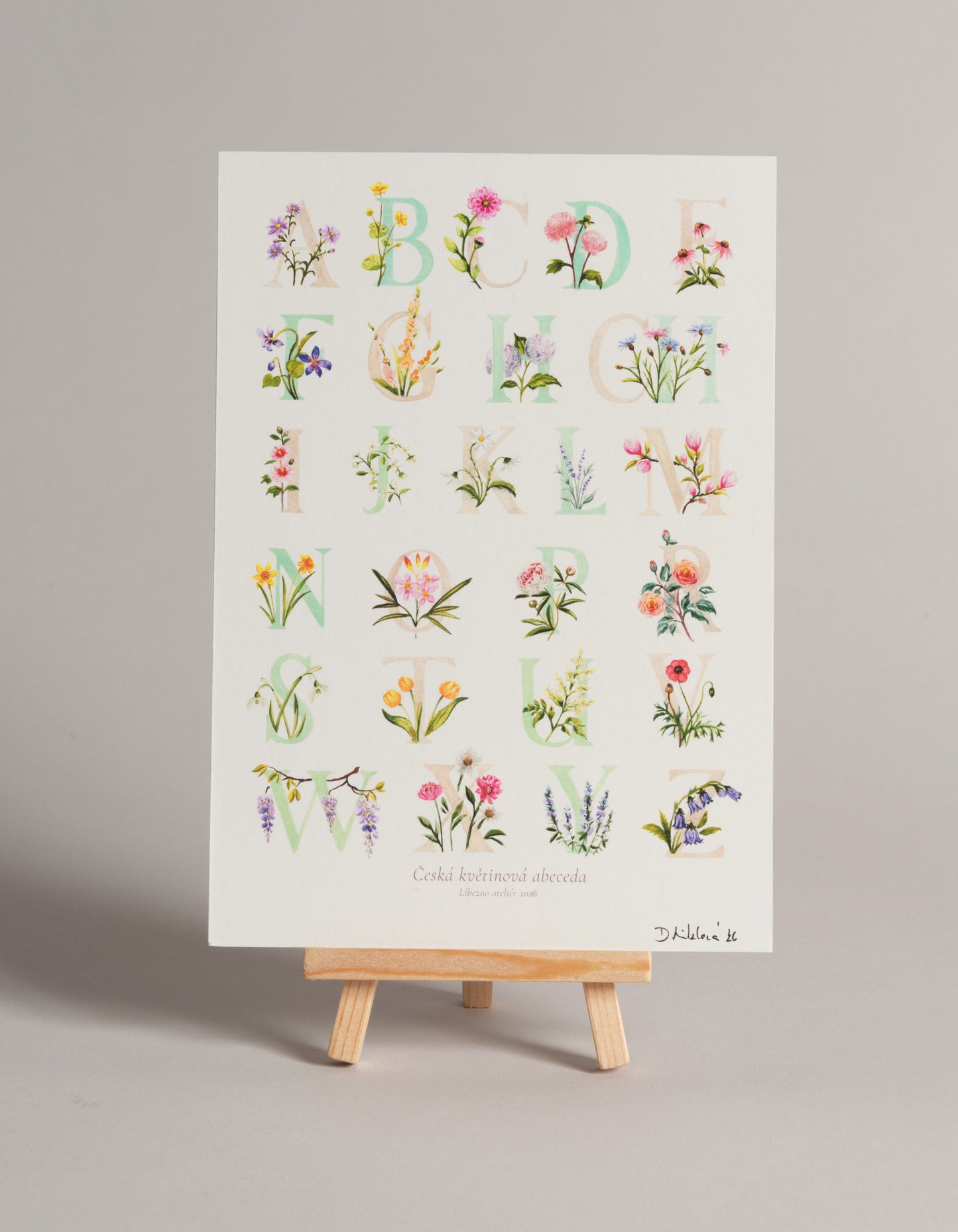 Květinová abeceda - autorská akvarelová ilustrace | art print