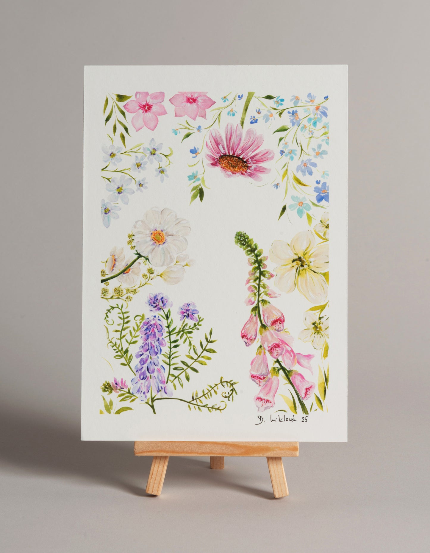 Květinový herbář - autorská akvarelová ilustrace | art print