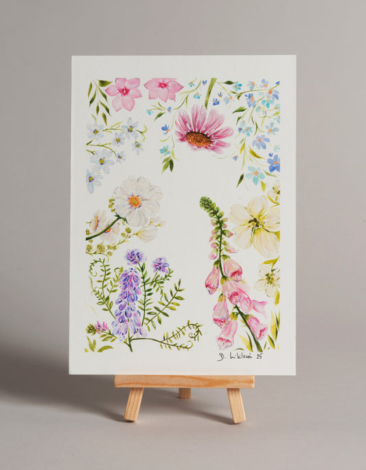 Květinový herbář - autorská akvarelová ilustrace | art print