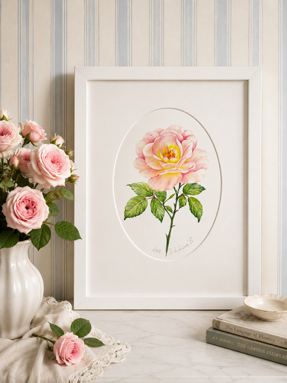 Růže - autorská akvarelová ilustrace s paspartou | art print