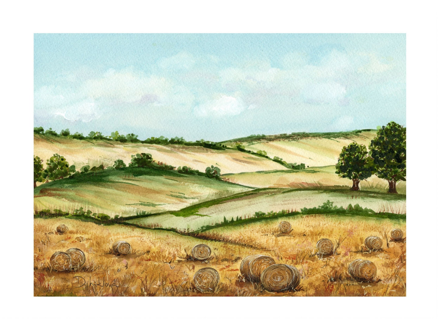 Zlaté pole pod modrým nebem