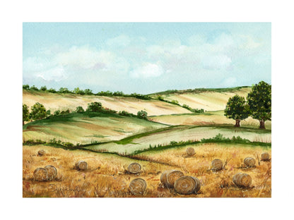 Zlaté pole pod modrým nebem