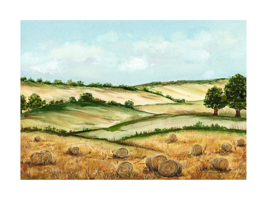 Zlaté pole pod modrým nebem